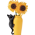 Ev Dekorasyon